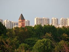 -贡湖湾湿地公园