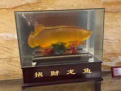 -海中洲国际大酒店-自助餐厅