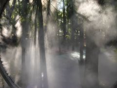 -东湖落雁景区