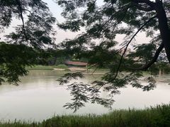 -广东花都湖国家湿地公园