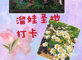 绿野仙踪郊野乐园，溜娃好去处！