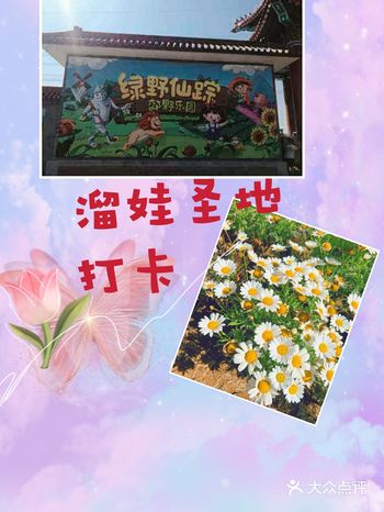 绿野仙踪郊野乐园，溜娃好去处！