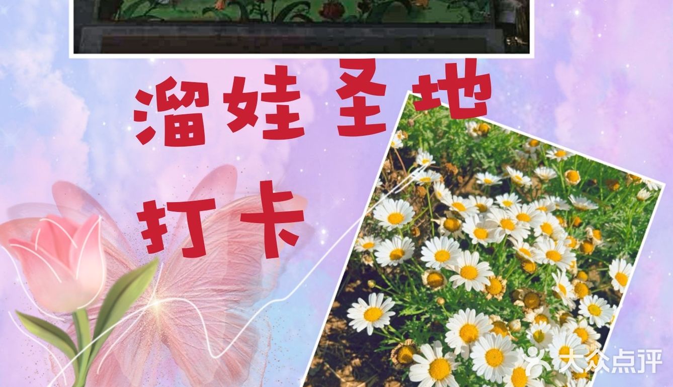绿野仙踪郊野乐园,溜娃好去处!