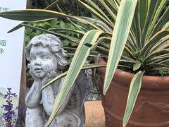 -Jo's Garden