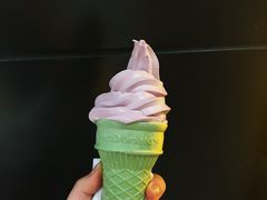 黑加仑接骨木甜筒-麦当劳(轻轨曹杨路店)