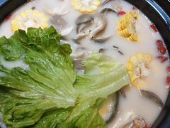 胡椒猪肚鸡-捞旺猪肚鸡(街道口店)