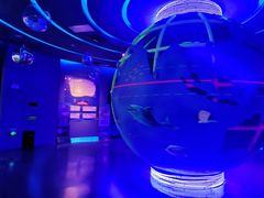 -石家庄海洋公园