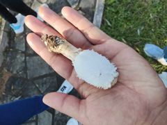 -北京宽沟会议中心