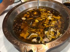 -雲蜀龙阁·金牌水煮鱼(方庄店)