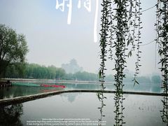 -莲花池公园