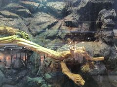 -弓舍射箭俱乐部(高新总店)