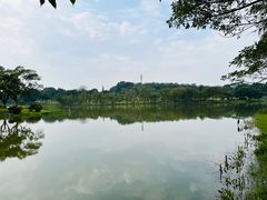 -东莞植物园