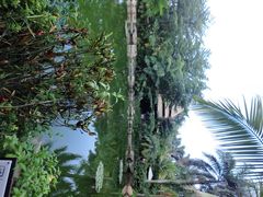 日月谷温泉渡假村-厦门日月谷温泉渡假村