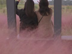 -白鹭湾湿地公园