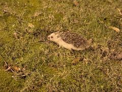 -白塘生态植物园