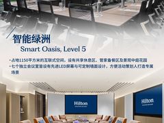 -新加坡乌节希尔顿酒店 (SG Clean)