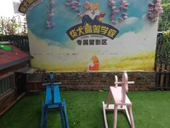 -柴犬高等学院·狗咖·柴犬售卖·宠物训练