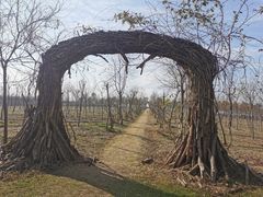 -上海海湾国家森林公园