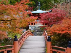 -醍醐寺