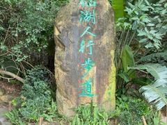 -深圳仙湖植物园