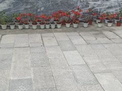 -川北医学院附属成都新华医院