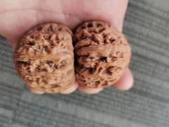 -万达广场(南京江宁店)