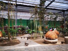 -呀路古热带植物园