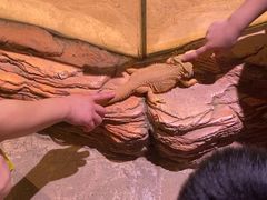 -正佳雨林生态植物园