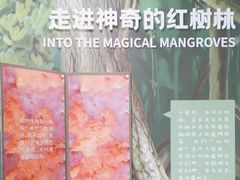 -东寨港红树林旅游区