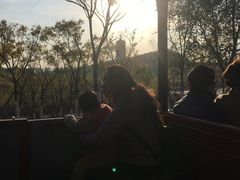 -永定河休闲森林公园