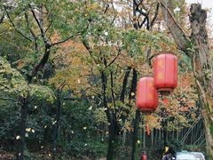 -国生茶庄·地道农家菜团建活动