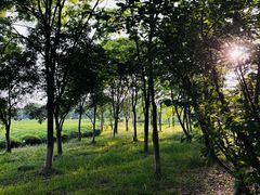 -敬亭山风景名胜区