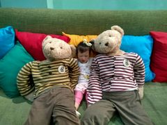 -济州岛泰迪熊博物馆