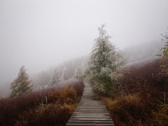 -苏木山森林公园
