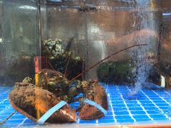 -ONE FULL 古董港式海鲜火锅