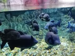 -常州海昌海洋探索馆