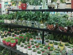 -大润发(东关世茂店)