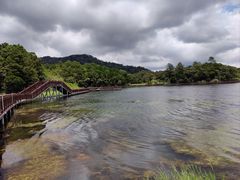 -海南热带雨林国家公园吊罗山景区