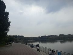 -济南喜来登酒店