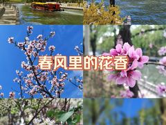 -南长河公园