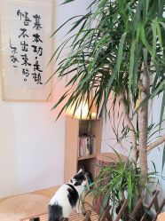 -Nora阿育吠陀·瑜伽·整体疗愈苑