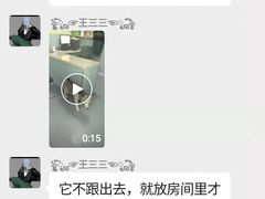 -北京派仕佳德动物医院·超导核磁·CT·神经科·骨科·内外科·急重症管理中心
