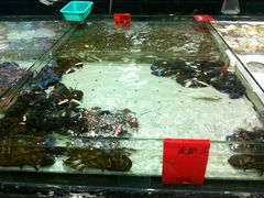 android_upload_pic-渔傅·蓝海岸霞浦海鲜(正祥店)