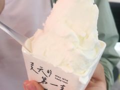 -野人先生现做冰淇淋(北京王府井东方新天地店)