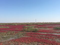 -红海滩国家风景廊道