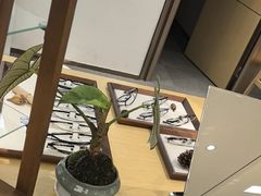 -Eziwish眼镜·蔡司授权店