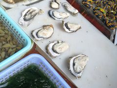 -南沙十九涌渔人码头-南门