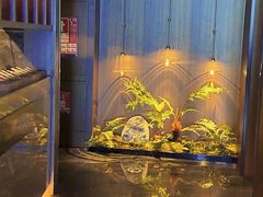 -江南足纪·影院足道·轻奢SPA(红山6979店)