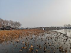 -北山街历史文化街区