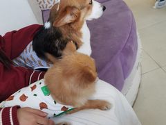 -怪兽屋·羊驼·猫咖·狗咖(俊华广场店)